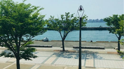 指定管理者制度